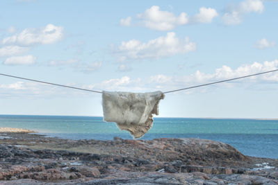 Close-up of fur hanging on clothesline by sea against sky