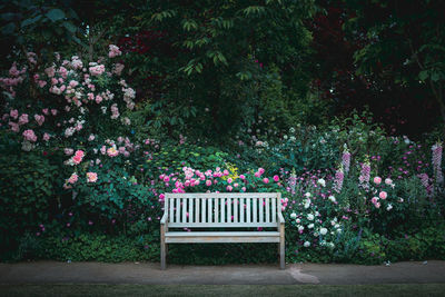 Empty bench in park