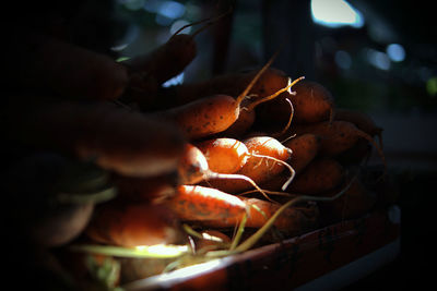 Close-up of meat