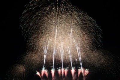 Low angle view of firework display at night