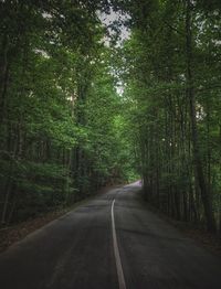 Empty road amidst trees in forest