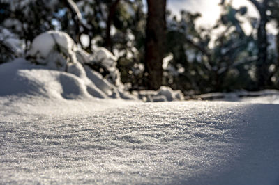 Surface level view of snow