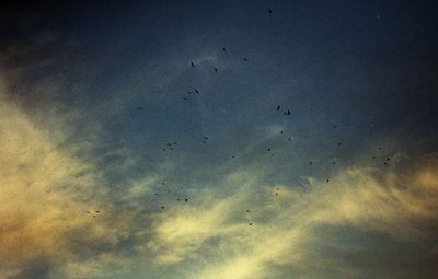 Low angle view of sky