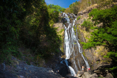 Scenic view of waterfall in forest