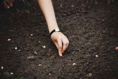 Cropped hand of woman putting seeds on field