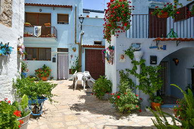 A small street in casamassima, a village with blue-colored houses in the puglia region of italy.