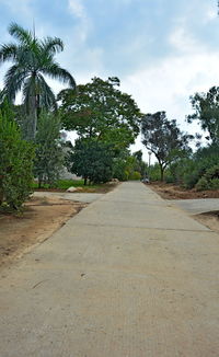 Empty road along plants and trees against sky