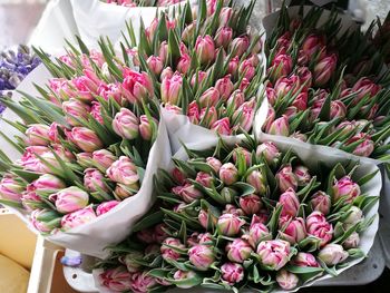 Pink flowers for sale