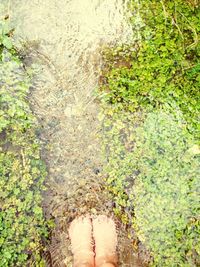 Low section of woman standing on ground