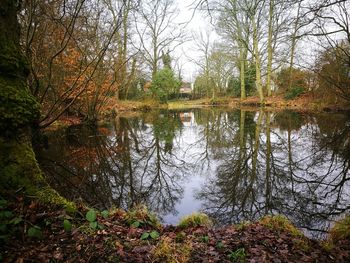 Reflection of trees in lake against sky