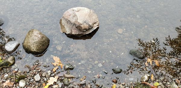 High angle view of pebbles on beach