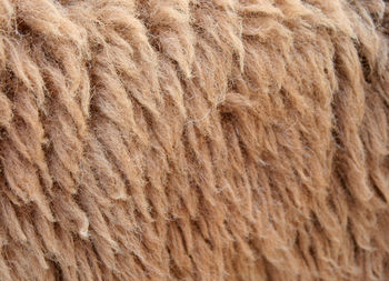 Sheepskin background