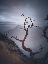 sky