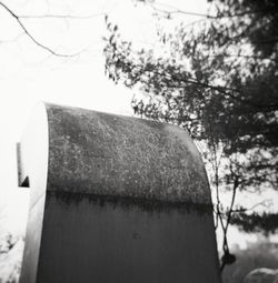Close-up of tree against sky during winter