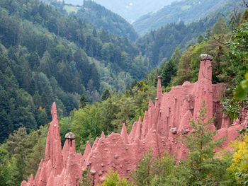 View of trees on mountain