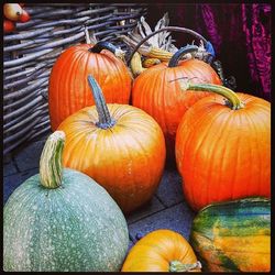 Pumpkins on table