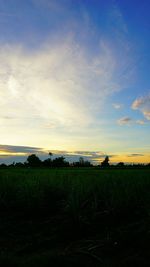 Scenic view of field against sky during sunset