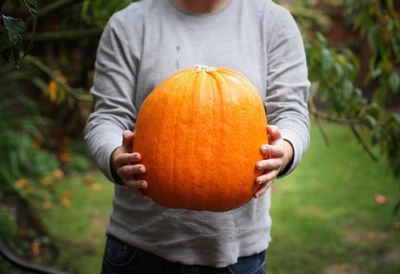 Midsection of man holding pumpkin while standing on field