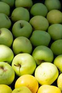 Full frame shot of apples