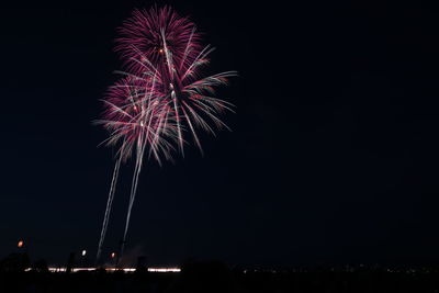 Low angle view of firework display at night