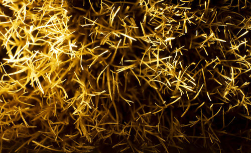 Full frame shot of illuminated lights at night