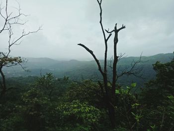 Scenic view of tree mountains against sky