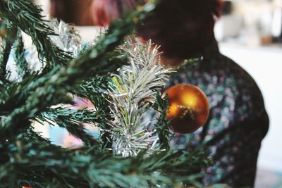 Close-up of christmas tree