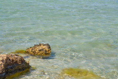 High angle view of rocks on sea shore