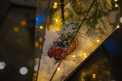 Close-up of illuminated christmas tree at night