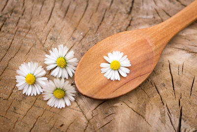 White flowers on rustic wooden background, flowers and retro wooden details