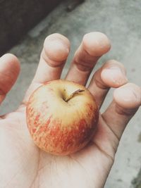 Close-up of hand holding fruit