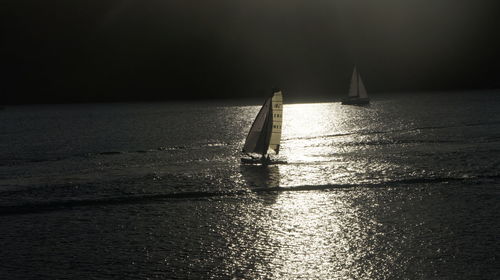 Sailboat sailing in sea