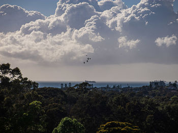 Bird flying over sea against sky