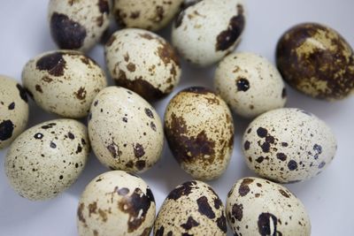 quail eggs