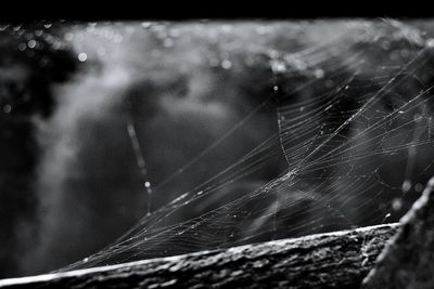 Close-up of spider web with rain drops