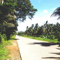 Road amidst trees against sky