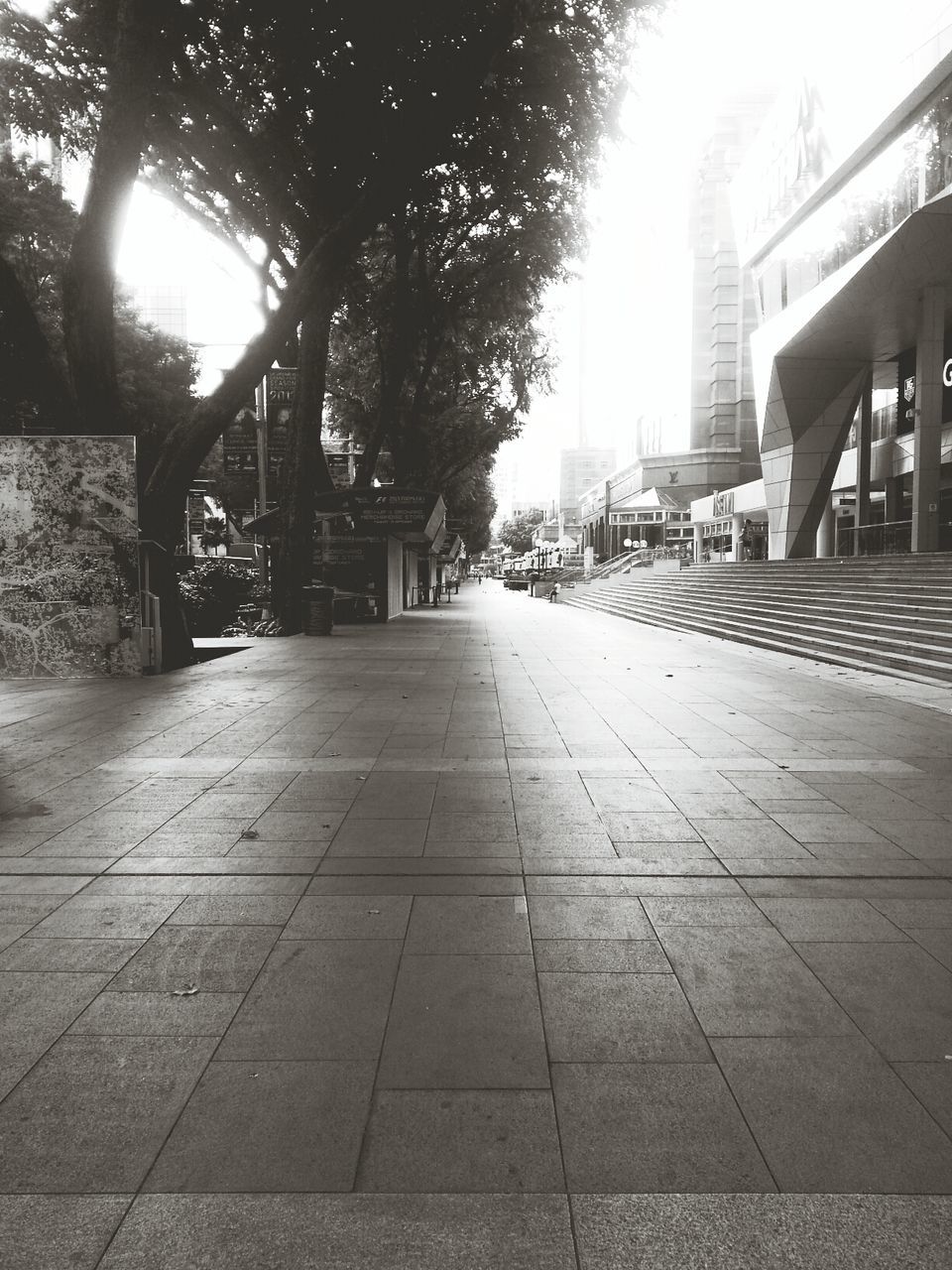 architecture, built structure, building exterior, the way forward, city, sunlight, tree, transportation, diminishing perspective, street, vanishing point, sidewalk, street light, incidental people, empty, footpath, shadow, sunbeam, building, cobblestone