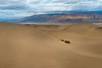 Scenic view of desert against sky