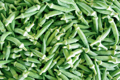 Fresh okra as background