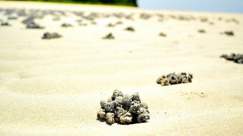 Close-up of snow on sand