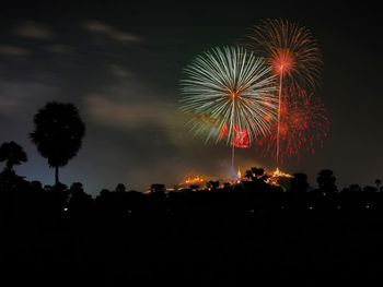 Low angle view of firework display at night