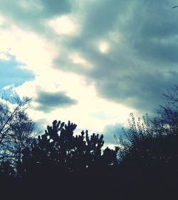 Low angle view of trees against cloudy sky