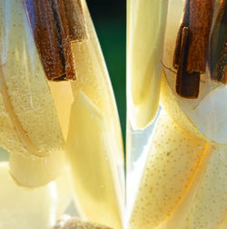 Full frame shot of drink
