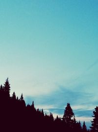 Low angle view of silhouette trees against sky