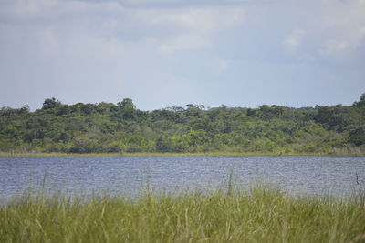 Scenic view of lake against sky