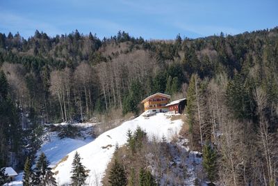 Scenic view of snow covered land and trees against sky