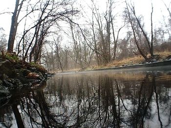 Reflection of trees in lake