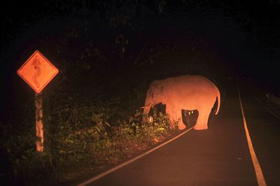 Road sign at night