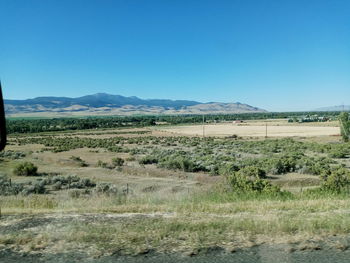 Scenic view of field against clear blue sky