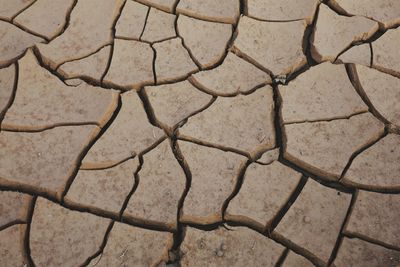 Full frame shot of cracked land